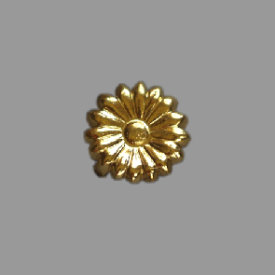 Splint Blüte schmalblättrig 10mm gold