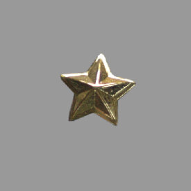 Splint 5 strahliger Stern 10mm gold