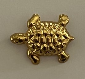 Brosche Schildkröte 21mm gold