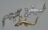 Splint Eidechse 30mm gold