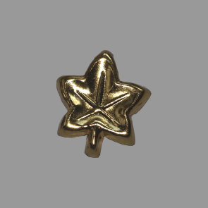 Splint Ahornblatt 13mm gold